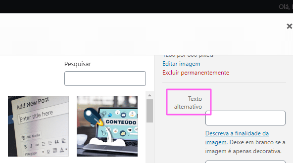 explicação sobre o slt text